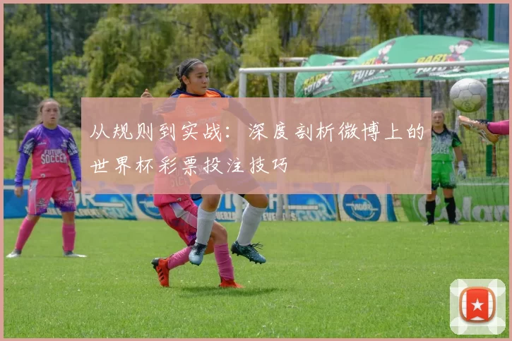 从规则到实战:深度剖析微博上的世界杯彩票投注技巧
