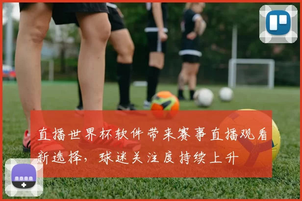 直播世界杯软件带来赛事直播观看新选择,球迷关注度持续上升