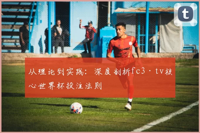 从理论到实践：深度剖析fc3·tv核心世界杯投注法则