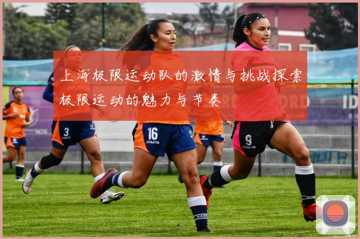 上海极限运动队的激情与挑战探索极限运动的魅力与节奏