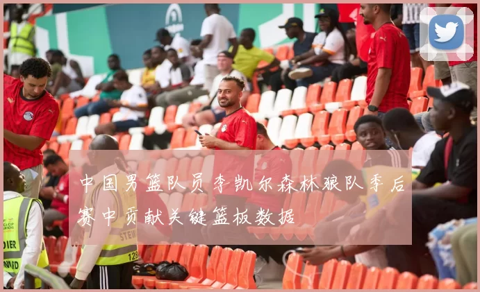 中国男篮队员李凯尔森林狼队季后赛中贡献关键篮板数据