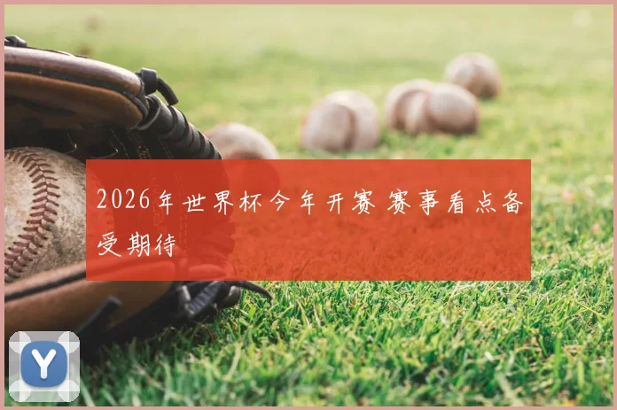 2026年世界杯今年开赛 赛事看点备受期待