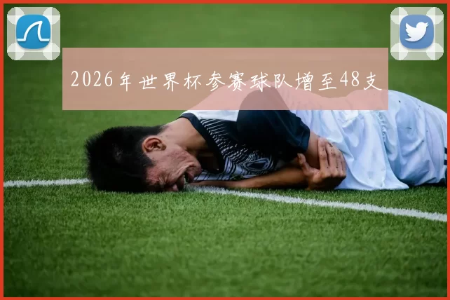 2026年世界杯参赛球队增至48支