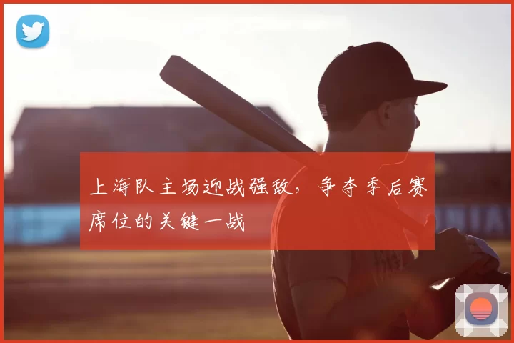 上海队主场迎战强敌，争夺季后赛席位的关键一战