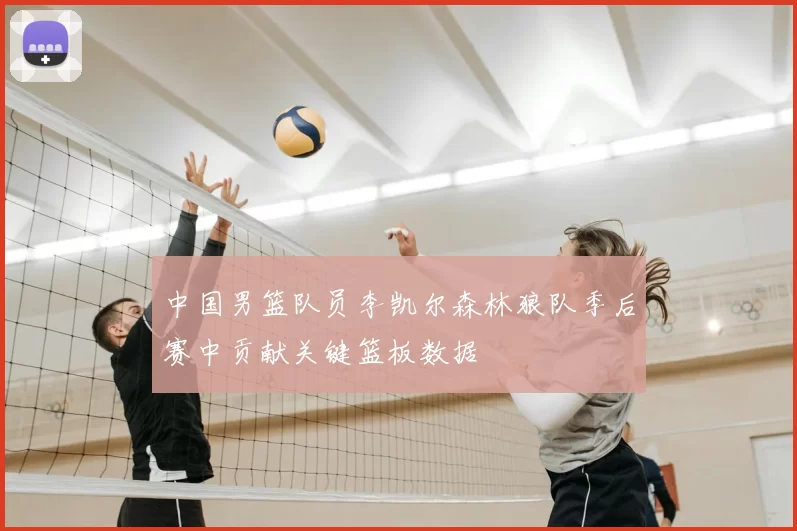 中国男篮队员李凯尔森林狼队季后赛中贡献关键篮板数据