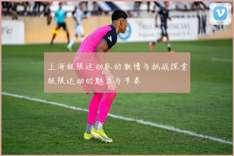 上海极限运动队的激情与挑战探索极限运动的魅力与节奏