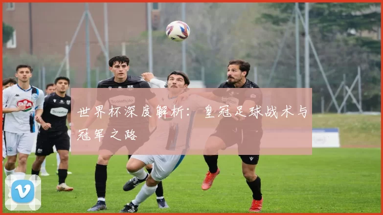 世界杯深度解析：皇冠足球战术与冠军之路