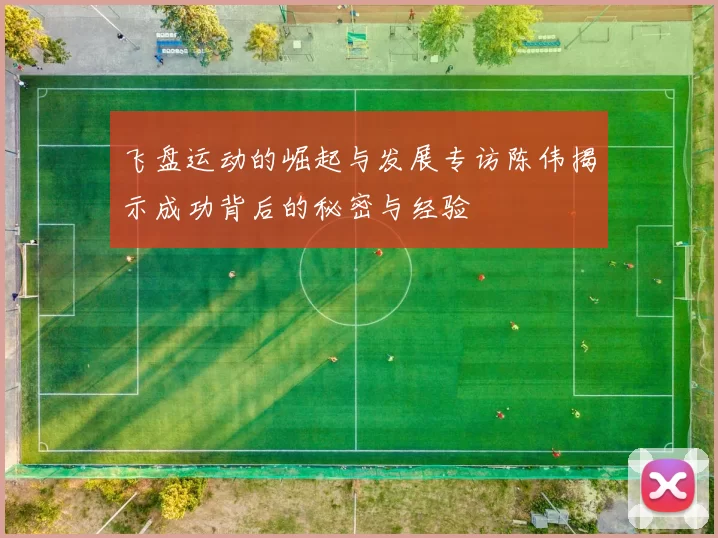 飞盘运动的崛起与发展专访陈伟揭示成功背后的秘密与经验