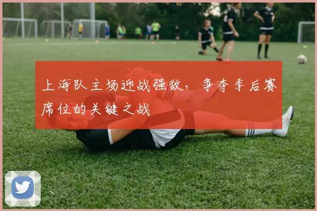 上海队主场迎战强敌，争夺季后赛席位的关键之战