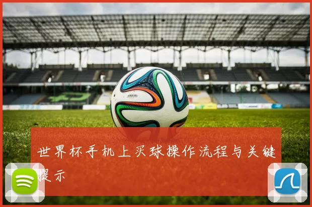 世界杯手机上买球操作流程与关键提示