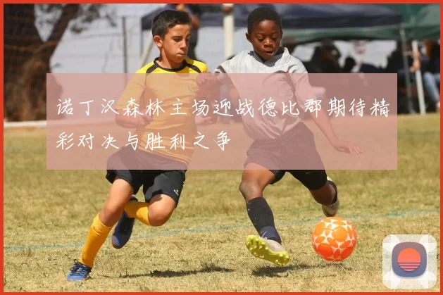 诺丁汉森林主场迎战德比郡期待精彩对决与胜利之争