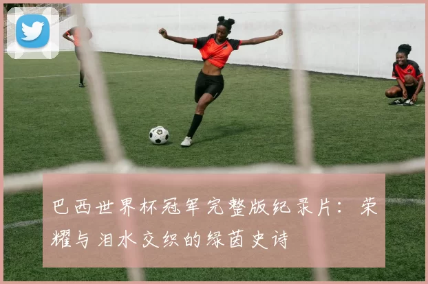 巴西世界杯冠军完整版纪录片:荣耀与泪水交织的绿茵史诗