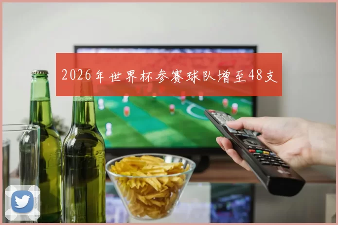 2026年世界杯参赛球队增至48支