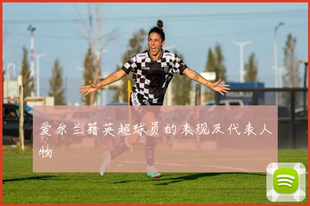 爱尔兰籍英超球员的表现及代表人物