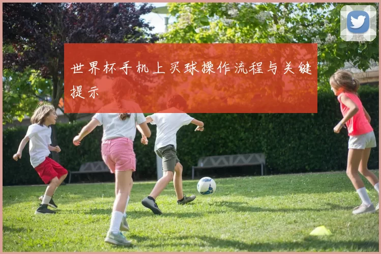 世界杯手机上买球操作流程与关键提示