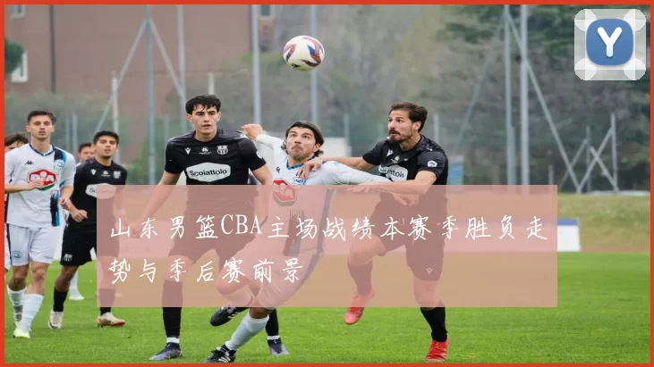 山东男篮CBA主场战绩本赛季胜负走势与季后赛前景